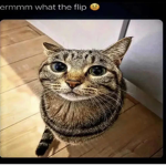 UFlip.