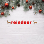 xreindeer squadx