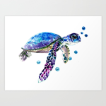 TurtleSquad - rblx