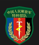 SFⅡ中国人民解放军特种部队ⅡSpecial forces of the Chinese Peopl