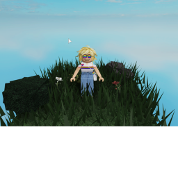 Sky Island