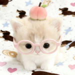 SweettCaramel