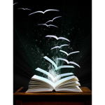 Fiction Fixation