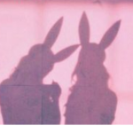 ʀᴏʏᴀʟᴛʏ