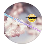 Ethans YouTube group