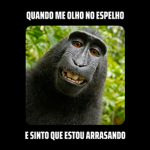 grupo dos minino