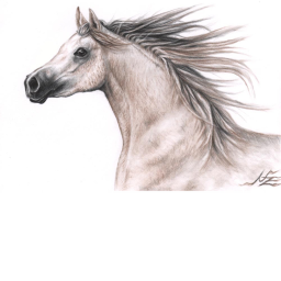 -*Halo Stables Meeting Place-*