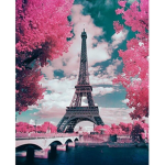 the paris sqaud