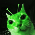 Cat aliens -00-