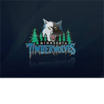 Minnesota Timberwolves fan club