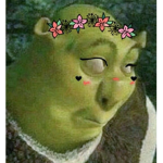 This groups name is SHREK