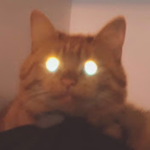 TheHolyCatYT
