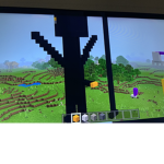 Flying cat clans