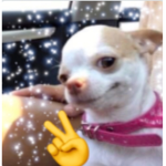 Samy_Roblox
