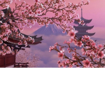 Blossom Entertainment