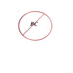 THE EPIC BC BOYCOTTERS