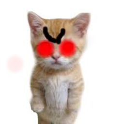GATO 🐾 [BETA]