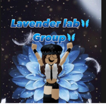 Lavender lab