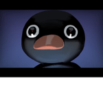 Team Noot Noot