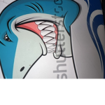 The shark attack clan