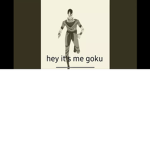 Hey it’s me goku!