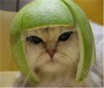 kitty powa!