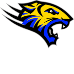 Tampa Bay Tigers Basketball ™