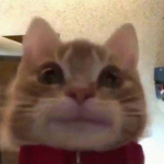 Lil spooky
