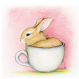 Fluffy Cafe