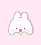 STRAWBERRY BUNNNIES