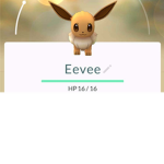 Poke group : D