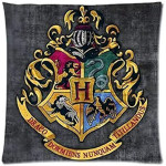 Hogwarts:)&potterheads