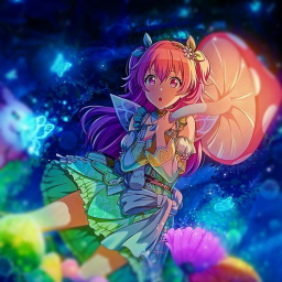 wonderhoy