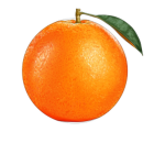Orange-Fruit Productions
