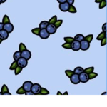 Blueberry Squad!!!!!