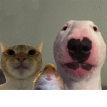 The Holy Council