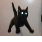 Glow_cat