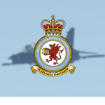The Ninjas, RAF Hawk T2 Role Demo