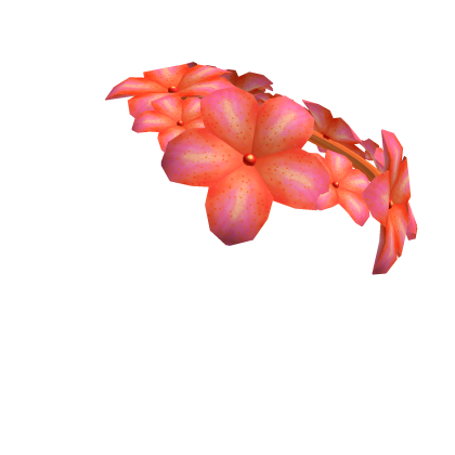 Roblox Learn Plumera Crown