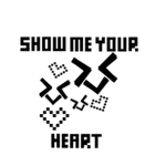 NSFN Fusion Core