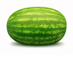 Melon Man The Defender Of ROBLOX