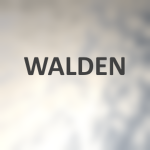 WLDN County