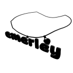 emerly necklace 1.0
