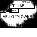 the TL LAB FOUNDATIION