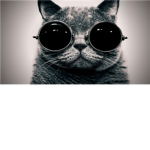 kol kats