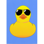 Captain duck duck Studios