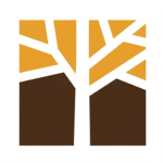 Amberwoods studios