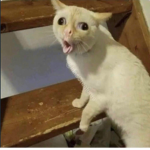 EEEEEEEETHAN