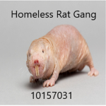 Homeless Rat Gang