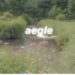 aegle